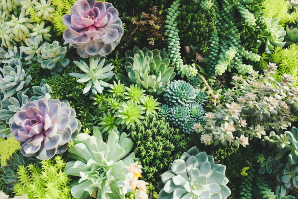 Landscape Gardener