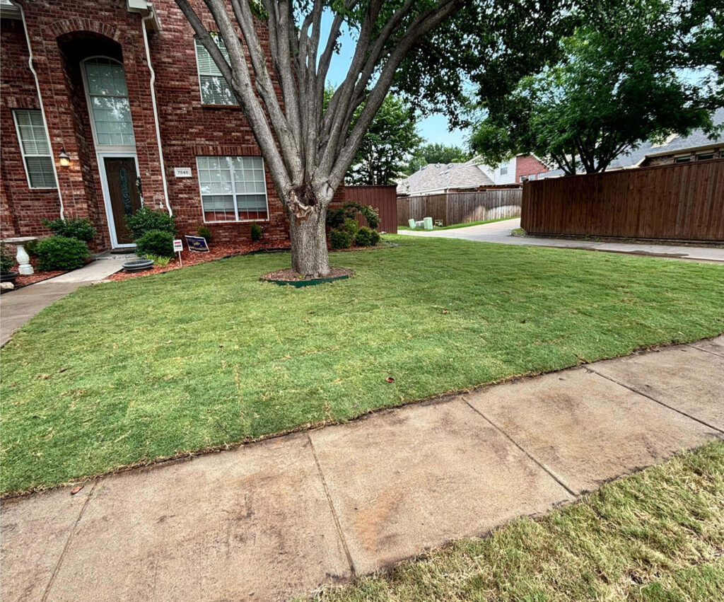 Lawn care