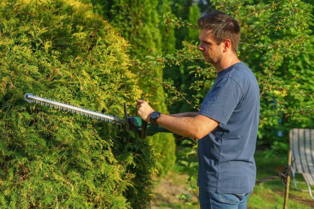 Shrub trimming
